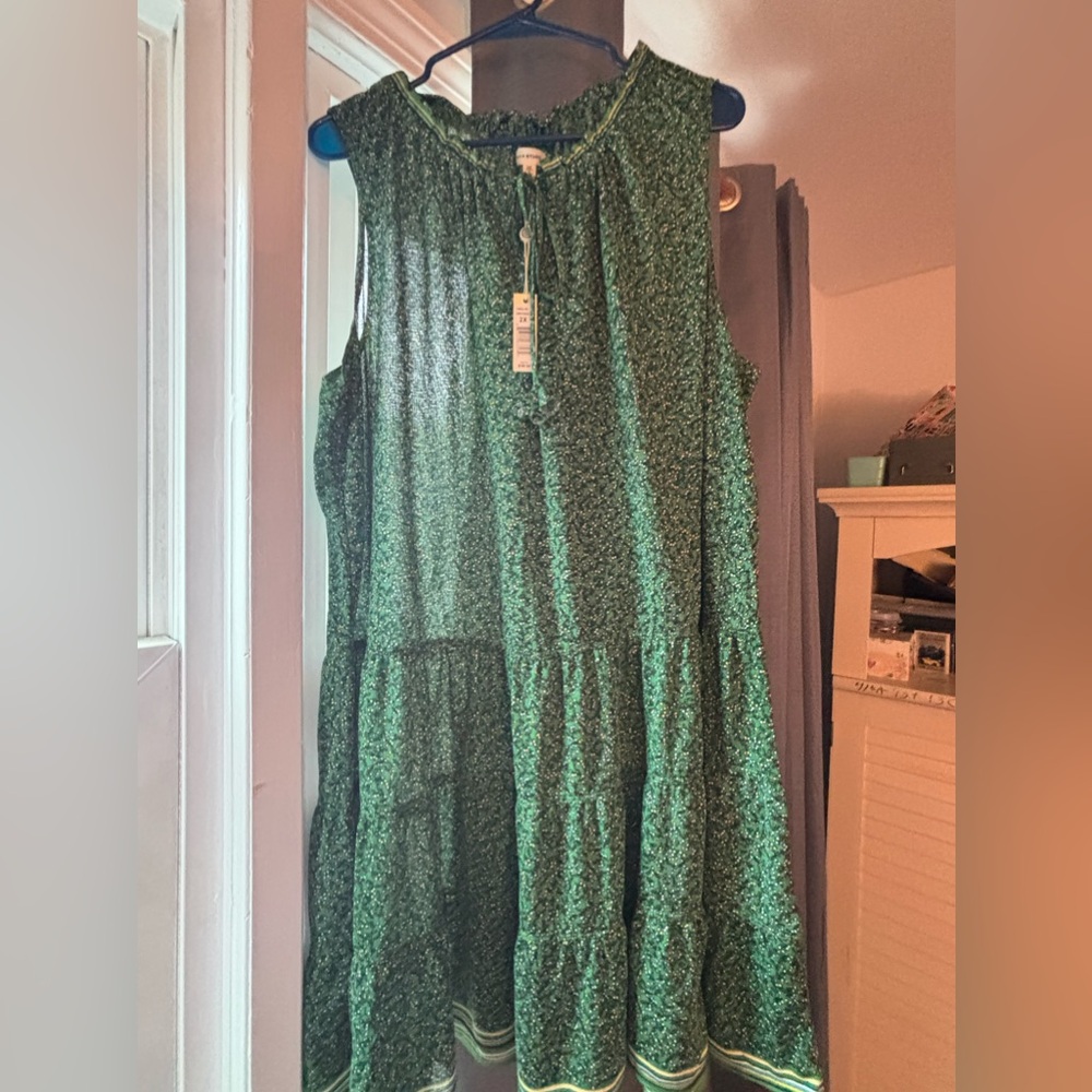 Green Max Studio Floral Swing Dresss